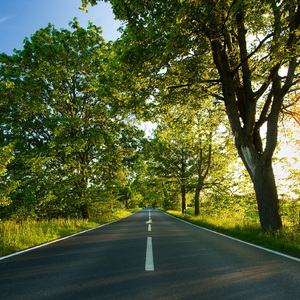 小BBW小BBw小BBw小曰本
