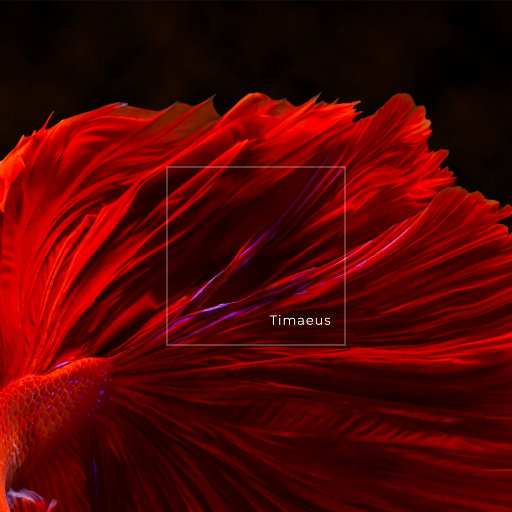 小BBW小BBw小BBw小曰本
